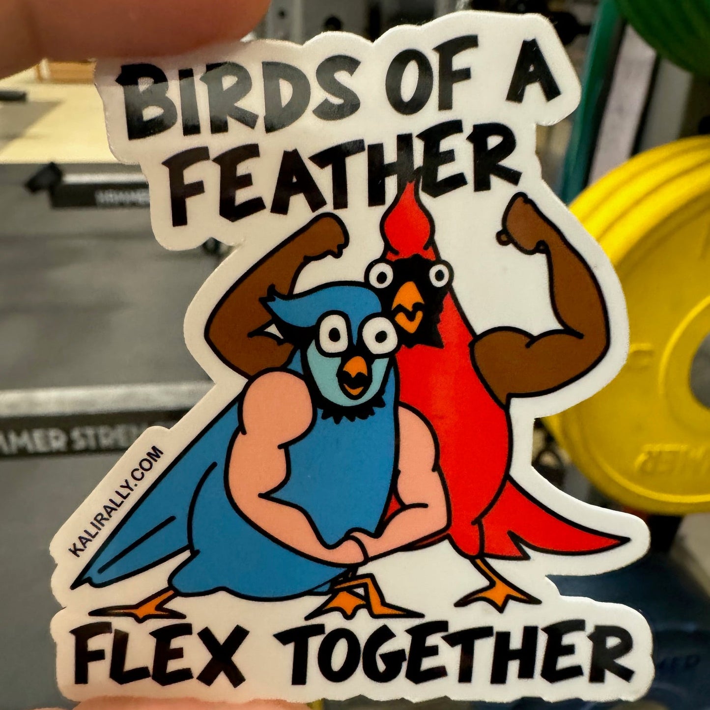 A photo of a 3x3" vinyl glossy sticker with two cartoon birds flexing and text, "Birds of a feather flex together!" by Kalirally