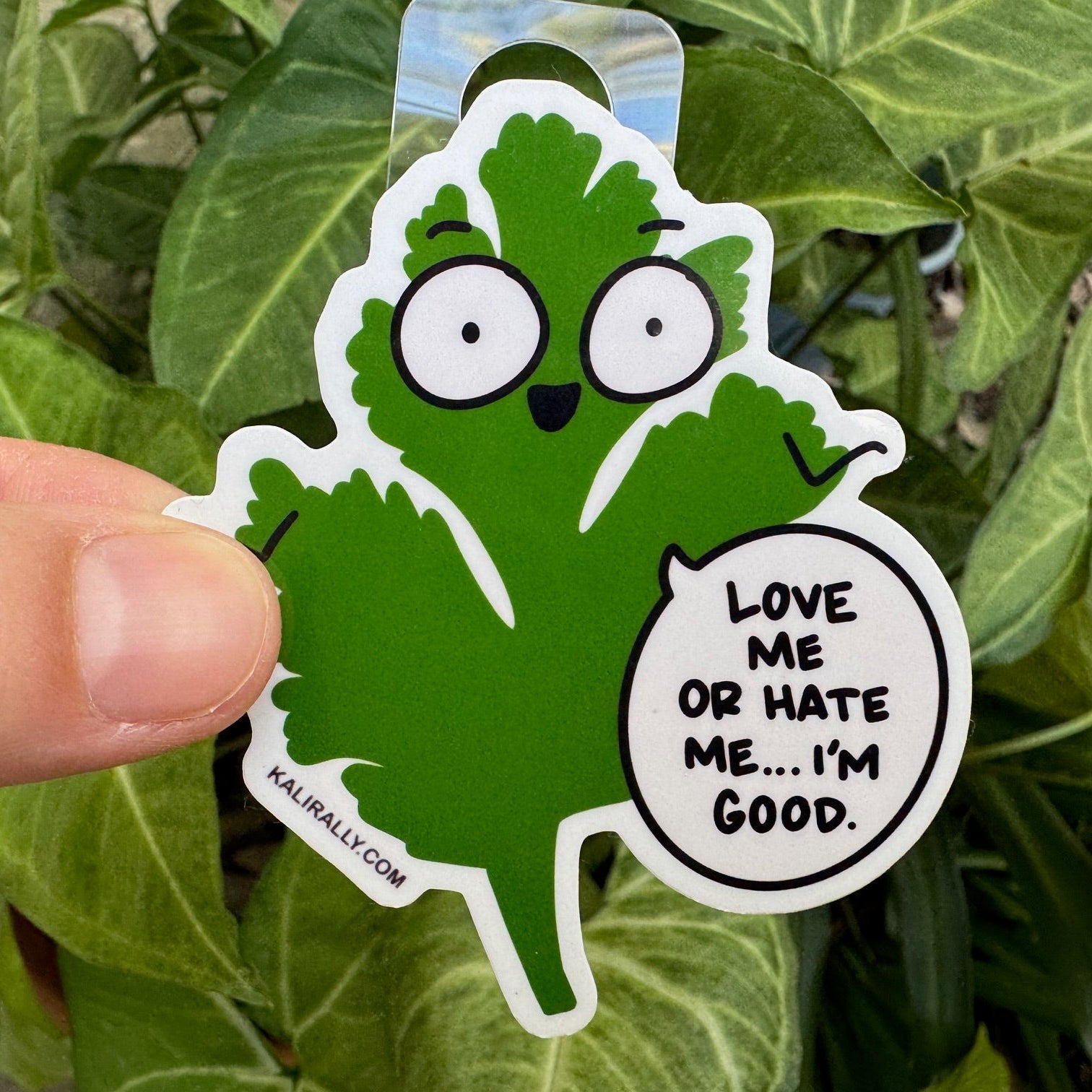 Cilantro Sticker by Kalirally with cartoon cilantro sprig and “Love Me or Hate Me, I’m Good.” text, glossy vinyl water bottle sticker for foodies, gardeners, and self-love enthusiasts.