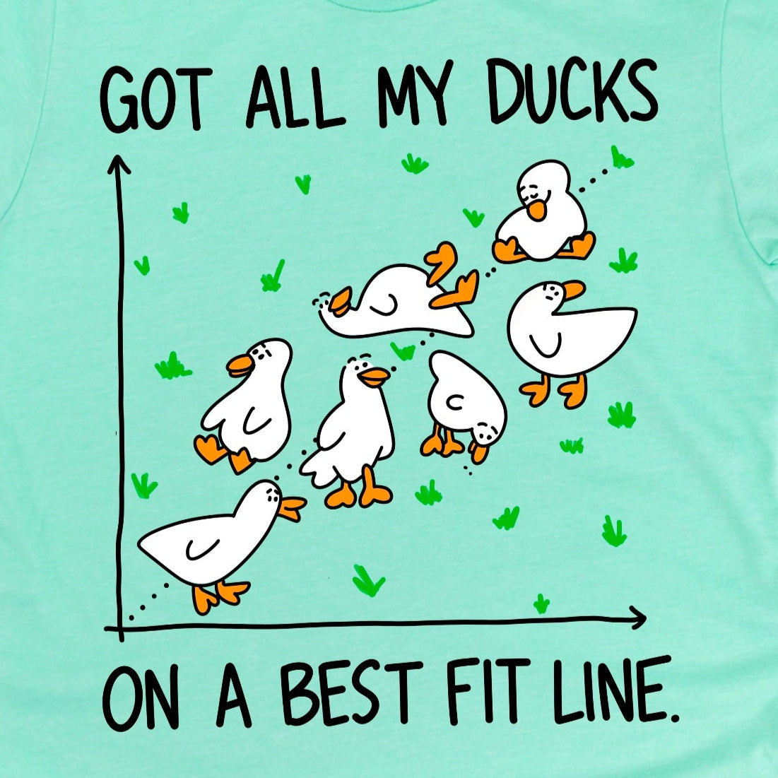 Close-up of Heather Mint Green duck shirt with “Got all my ducks on a best fit line” graphic – clever math tee by Kalirally