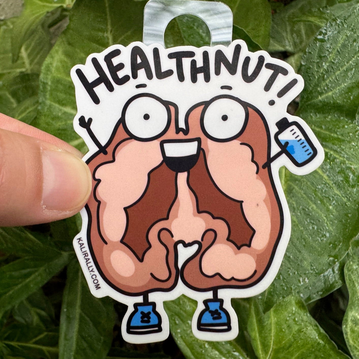Walnut cartoon character sticker labeled 'HEALTHNUT!' with water bottle and gym shoes, held in front of green leaves