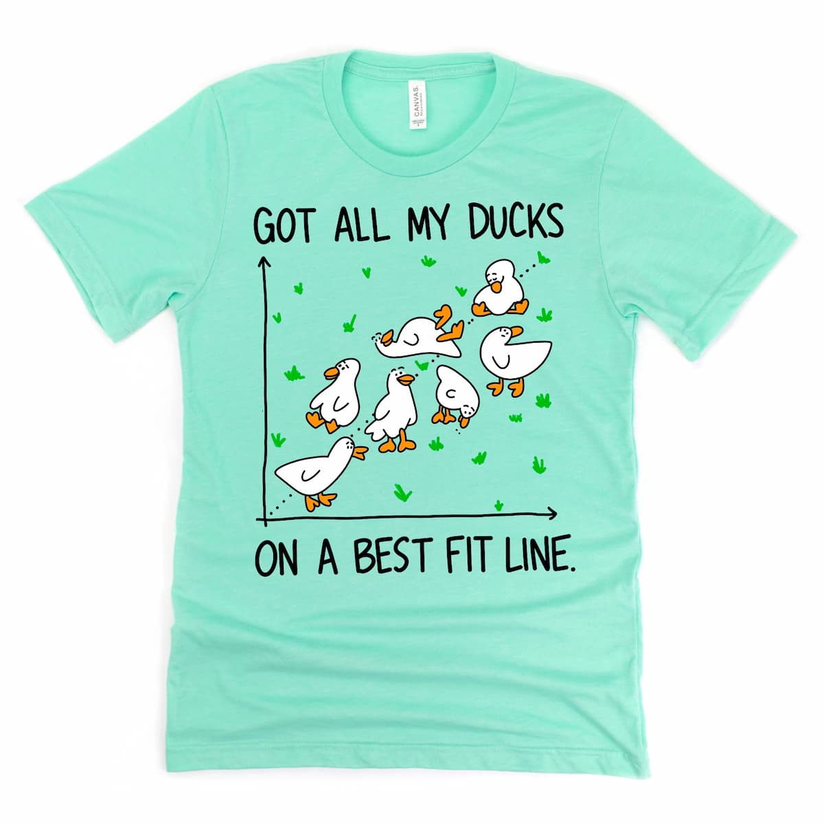 Heather Mint Green math duck shirt featuring “Got all my ducks on a best fit line” design – humorous stats shirt by Kalirally