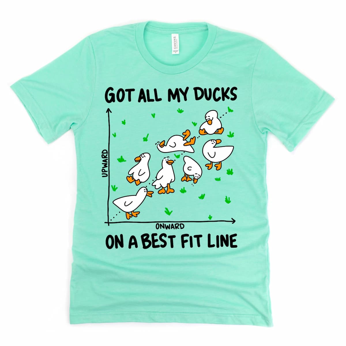 Heather mint green duck t shirt featuring “Got All My Ducks in a Row” design by Kalirally