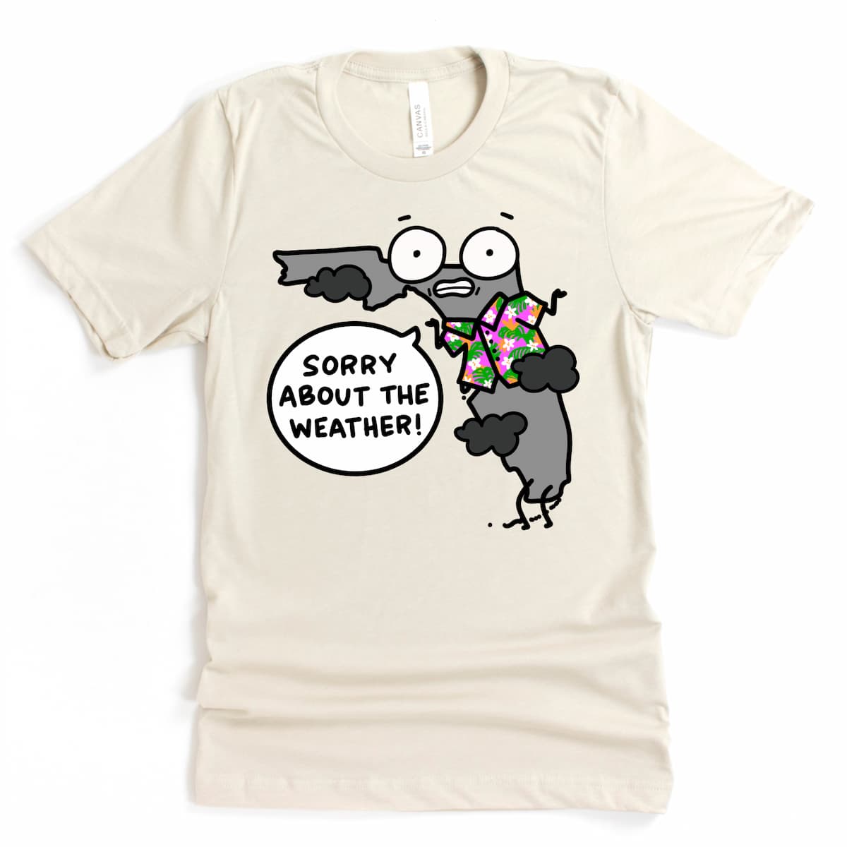 Florida-themed graphic tee with a stormy sky cartoon, shown on Heather Dust shirt – Kalirally