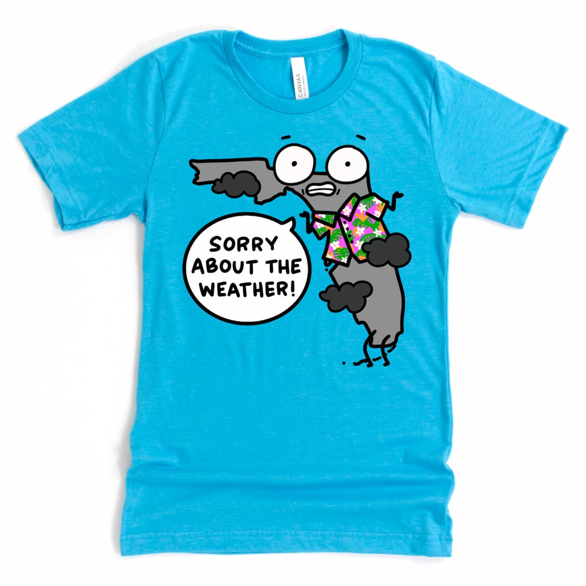 Florida cartoon t-shirt with cloudy skies on Heather Aqua – perfect for Florida lovers with humor – Kalirally