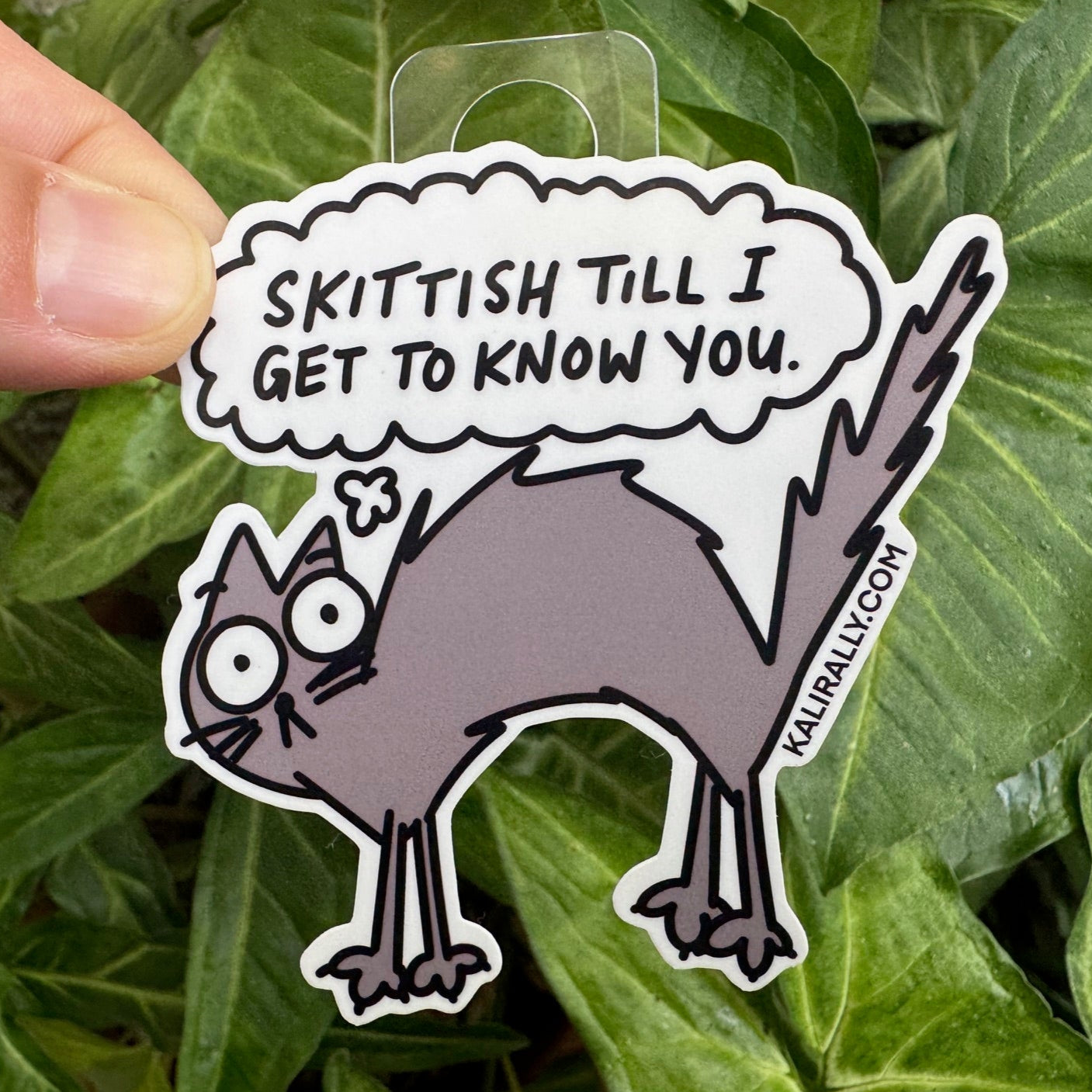 Cute cartoon cat sticker with the phrase “Skittish till I get to know you,” introvert humor decal, by Kalirally.