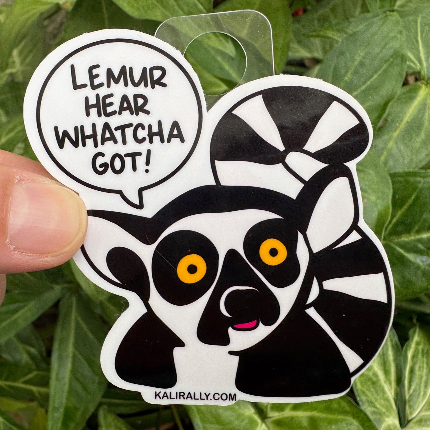 Cartoon lemur sticker with big eyes and the phrase "Lemur Hear Whatcha Got." Funny vinyl decal for speech teachers, therapists, and animal pun lovers.