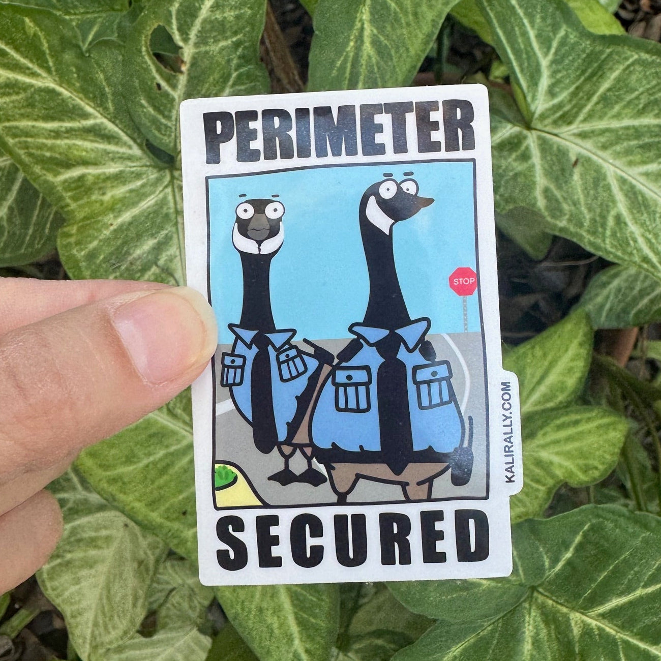 A photo of a funny vinyl sticker that has two Canadian Geese dressed in security outfits monitoring a parking lot - it says "Perimeter secured," hand-drawn by Kalirally.