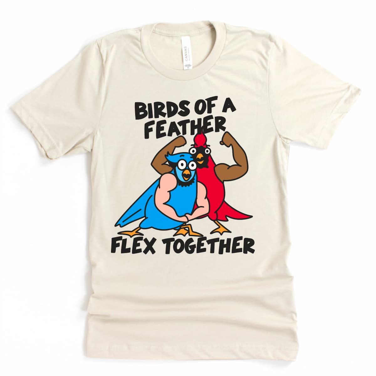 Flat lay mock up of Bella Canvas 3001 heather dust t-shirt featuring illustrated birds with arms — a fun and unusual gym humor design.