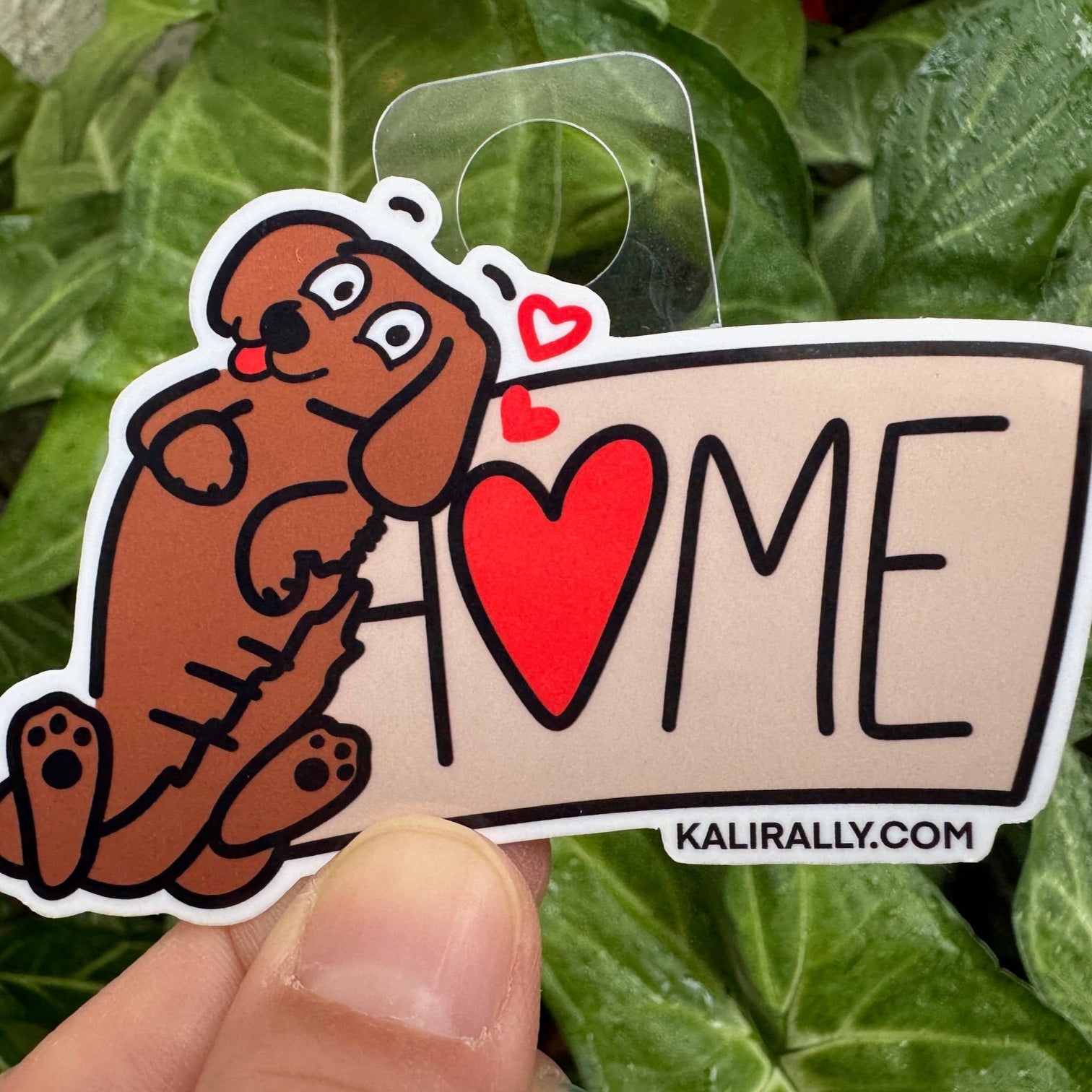 Vinyl Adorable Dachshund Sticker – “Home is where the Weiner Dog is” decal by Kalirally.