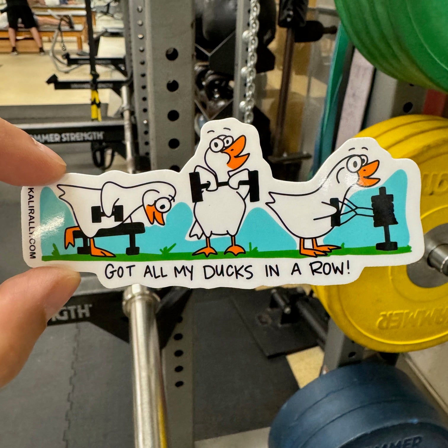 A photo of a vinyl sticker of weight lifting ducks - it says "Got all my ducks in a row" and all the ducks are doing back row variations - hand-drawn by Kalirally