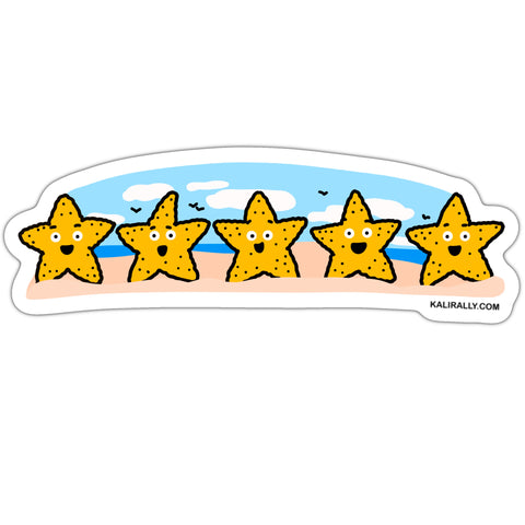 Fun five-star rating starfish sticker, beach sticker, coastal sticker, beach vibes sticker, waterproof vinyl sticker, kalirally decal