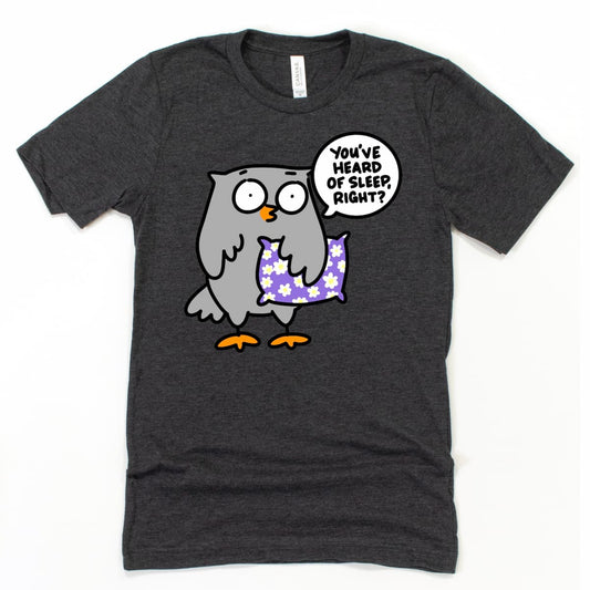 Heather Dark Grey Bedtime Shirt with cartoon owl saying “You’ve Heard of Sleep, Right?” perfect for night owls and cozy humor lovers by Kalirally