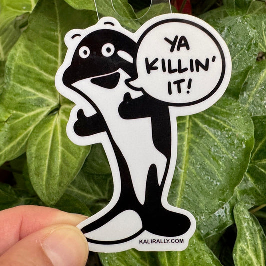 Funny ocean sticker with cartoon killer whale – “Ya Killin’ It!” motivational decal for water bottles and laptops by Kalirally