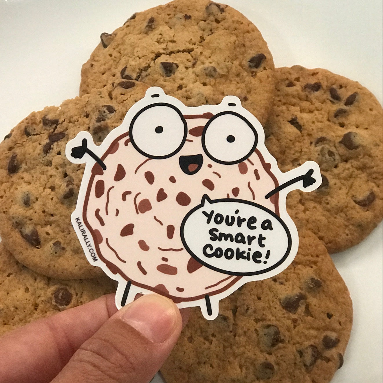 Smart cookie sticker, chocolate chip cookie sticker,  waterproof vinyl sticker, kalirally decal