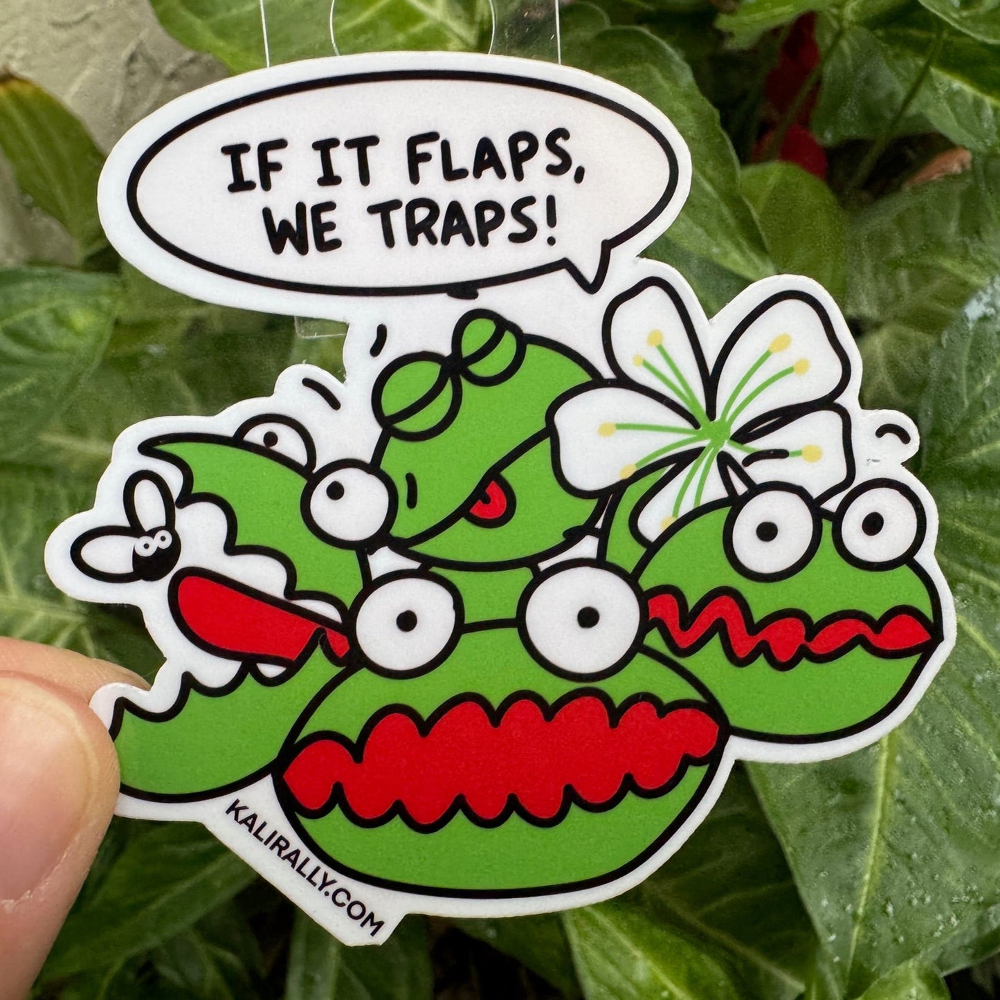 Venus flytrap vinyl sticker, funny wetlands decal for water bottles and laptops by Kalirally