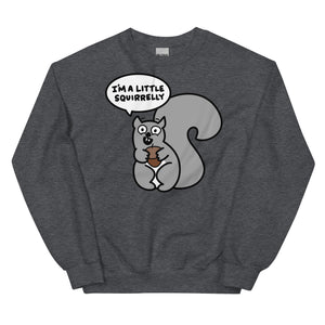 Funny squirrel sweatshirt I'm just a little squirrelly shirt