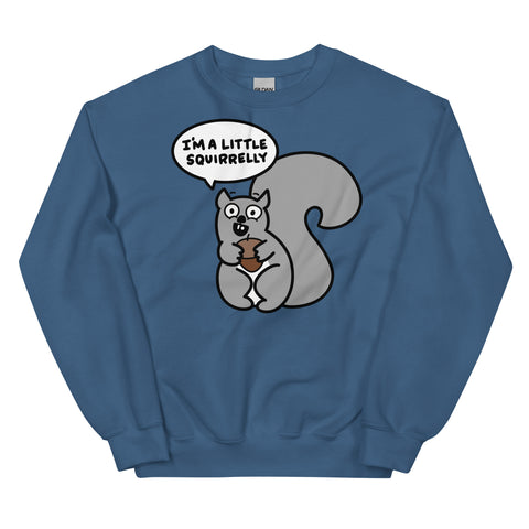 Funny squirrel sweatshirt I'm just a little squirrelly shirt