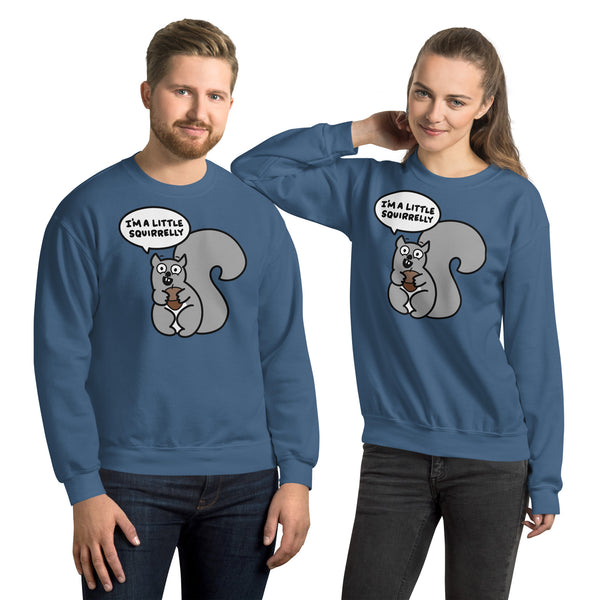 Funny squirrel sweatshirt I'm just a little squirrelly shirt