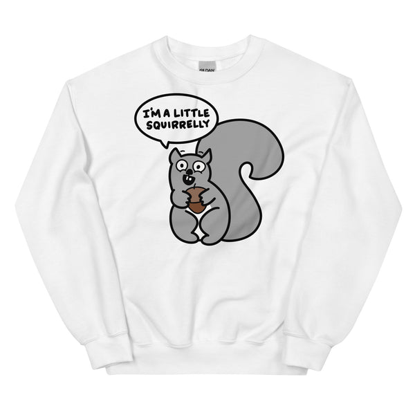 Funny squirrel sweatshirt I'm just a little squirrelly shirt