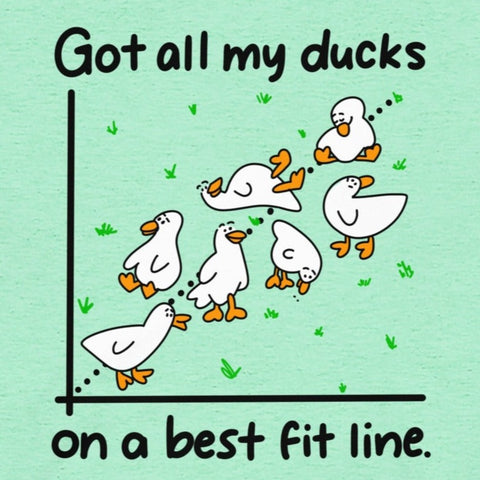 Funny Statistics T-shirt, "Got all my ducks on a best fit line" Shirt