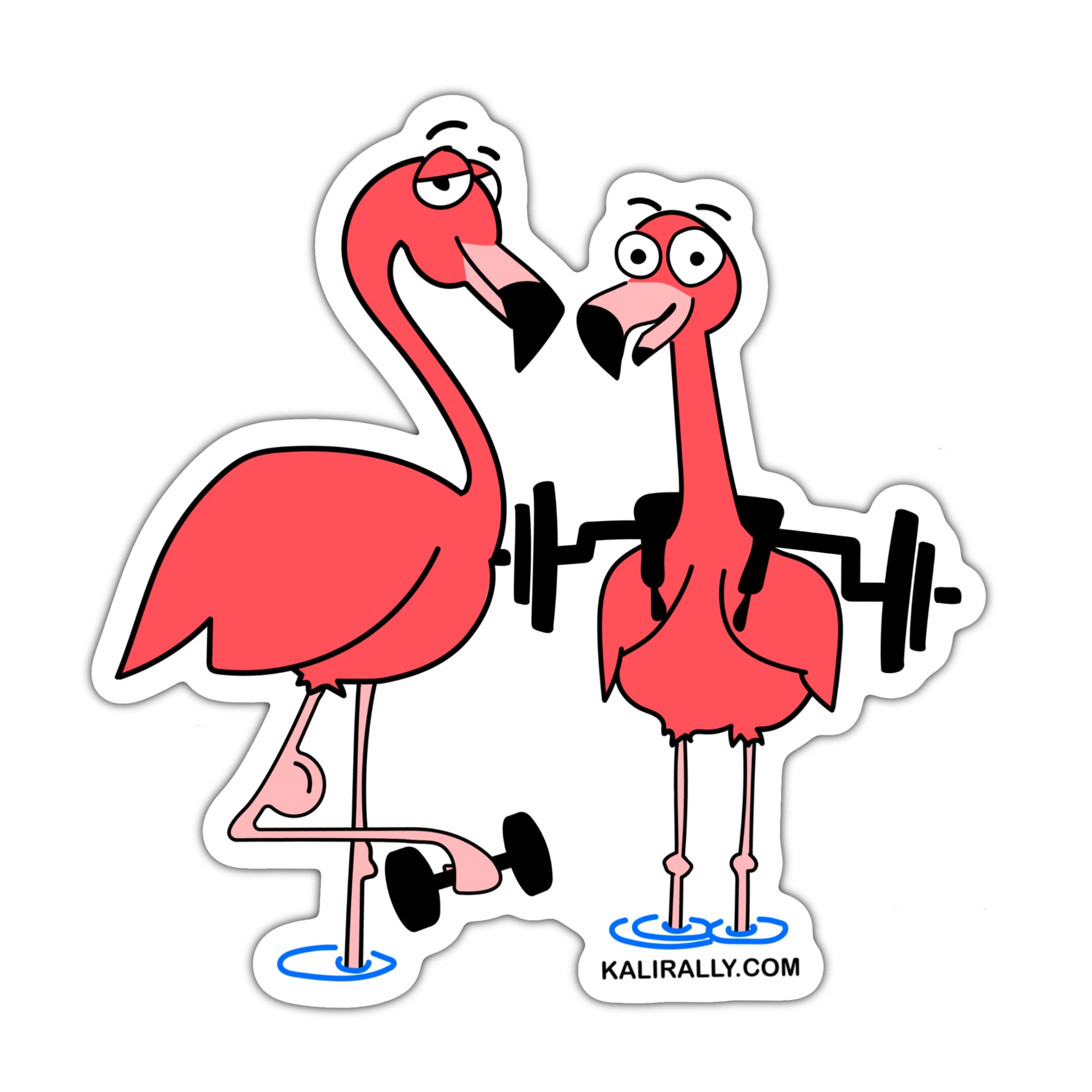 Fun flamingo barbell sticker, Crossfit sticker, safety bar sticker, waterproof sticker