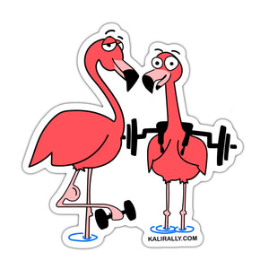Fun flamingo barbell sticker, Crossfit sticker, safety bar sticker, waterproof sticker