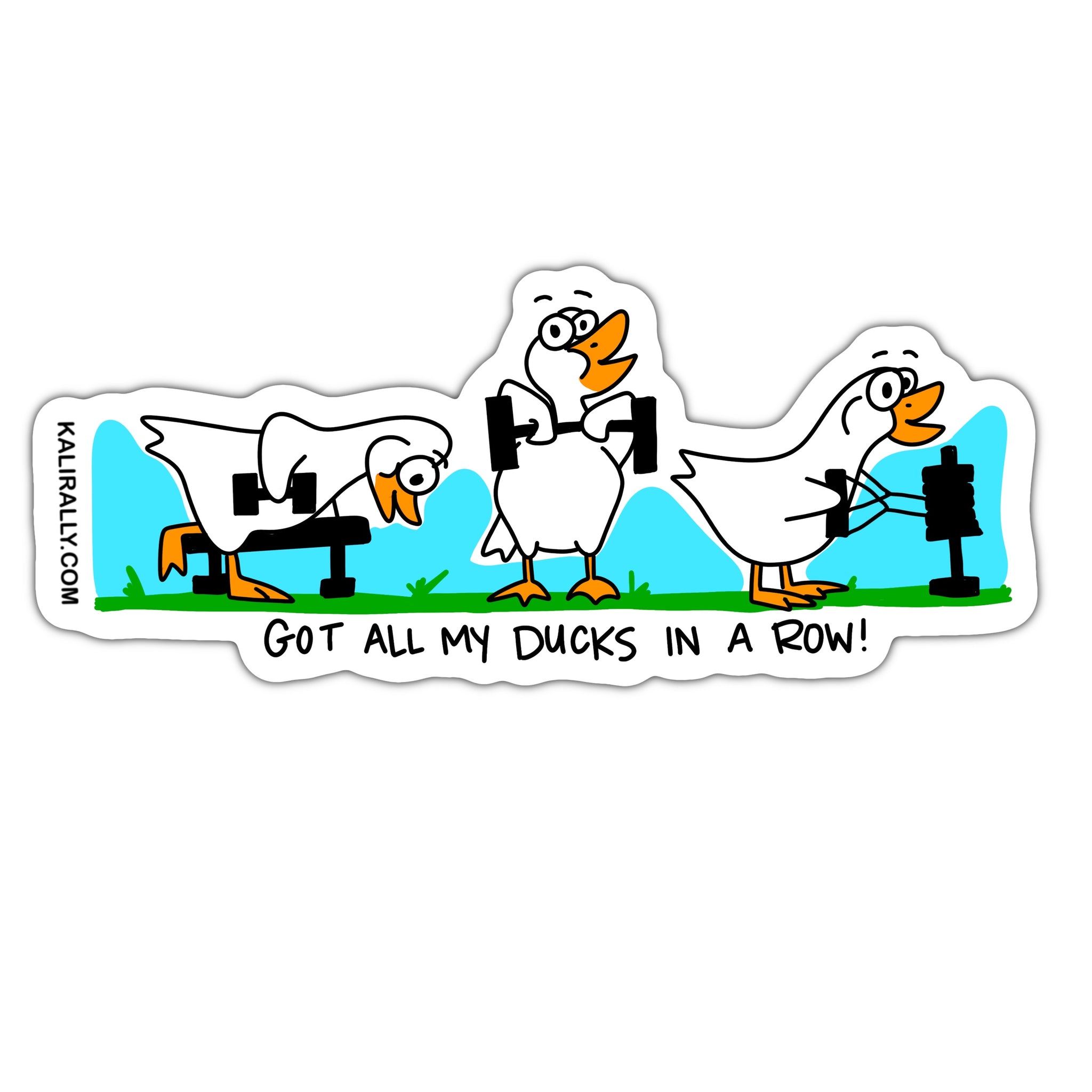 Funny weightlifting sticker, ducks in a row, cute CrossFit sticker, waterproof vinyl sticker